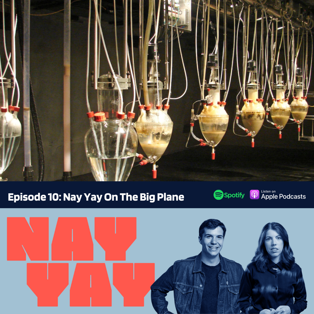 The Nay Yay Show with Alex Ward & Luka Muller