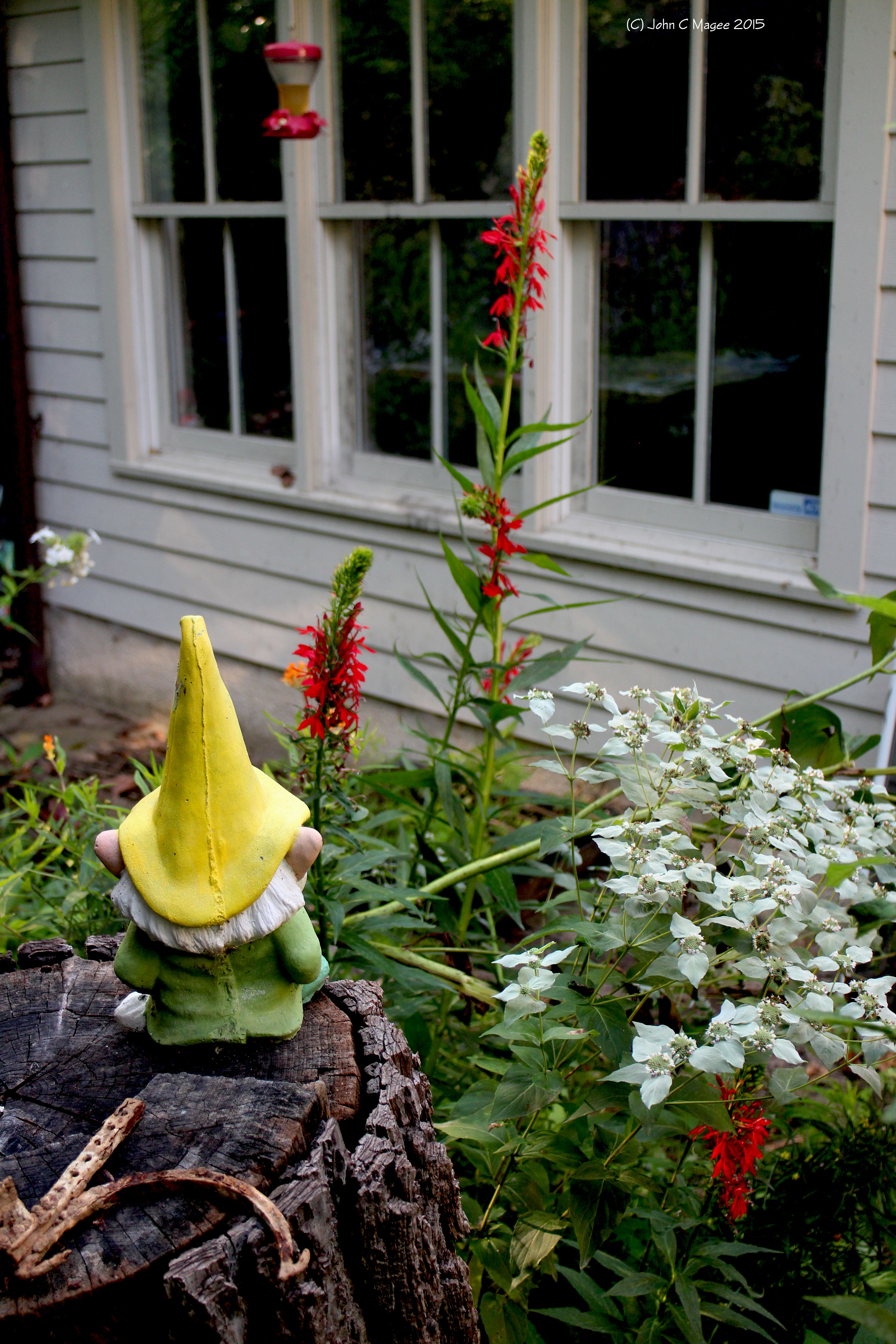 nativeplantpodcast\'s podcast