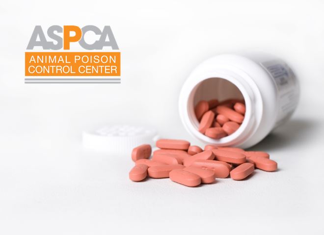 ASPCA Animal Poison Control Center for Owners