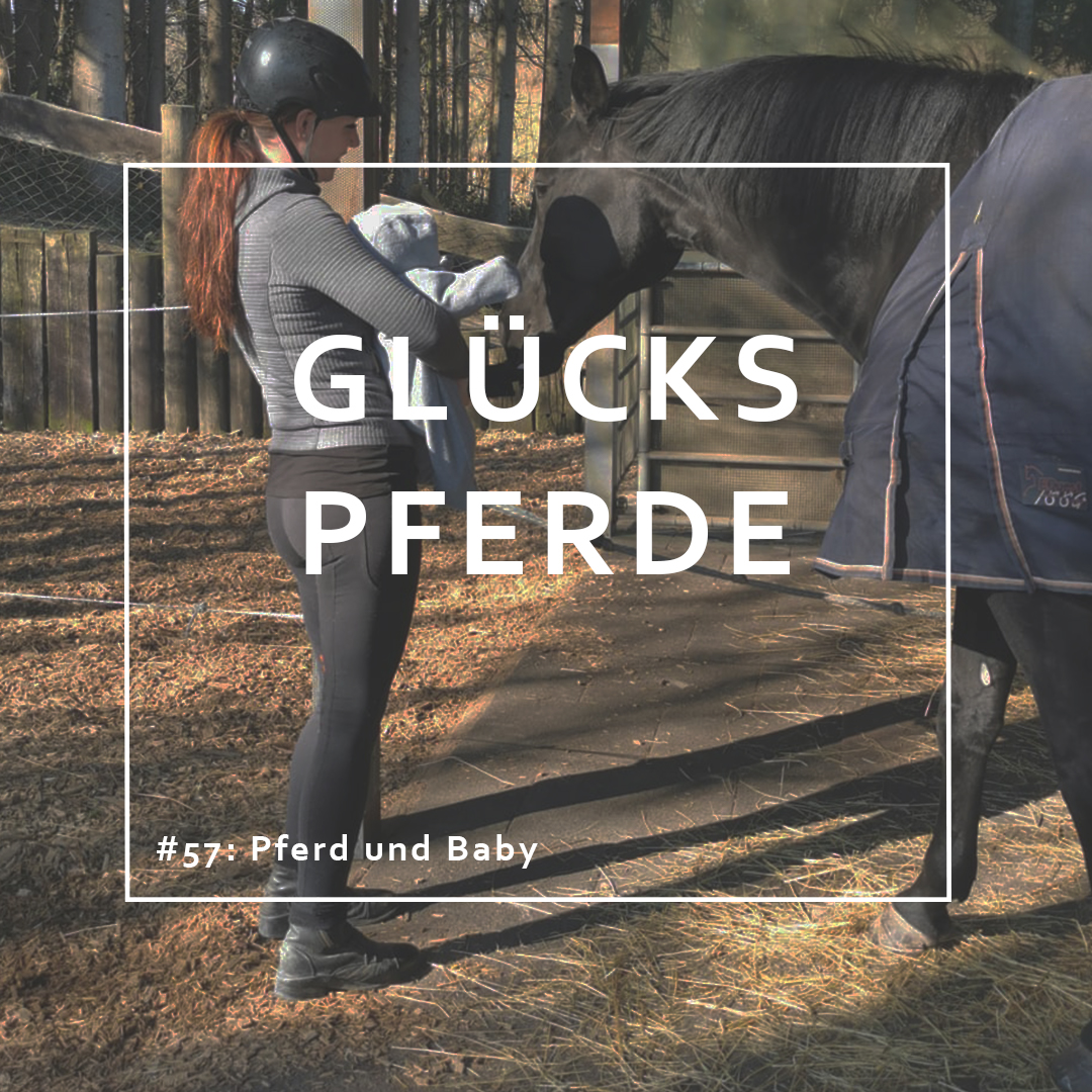 GlücksPferde - Erfüllt leben im Spiegel der Pferde