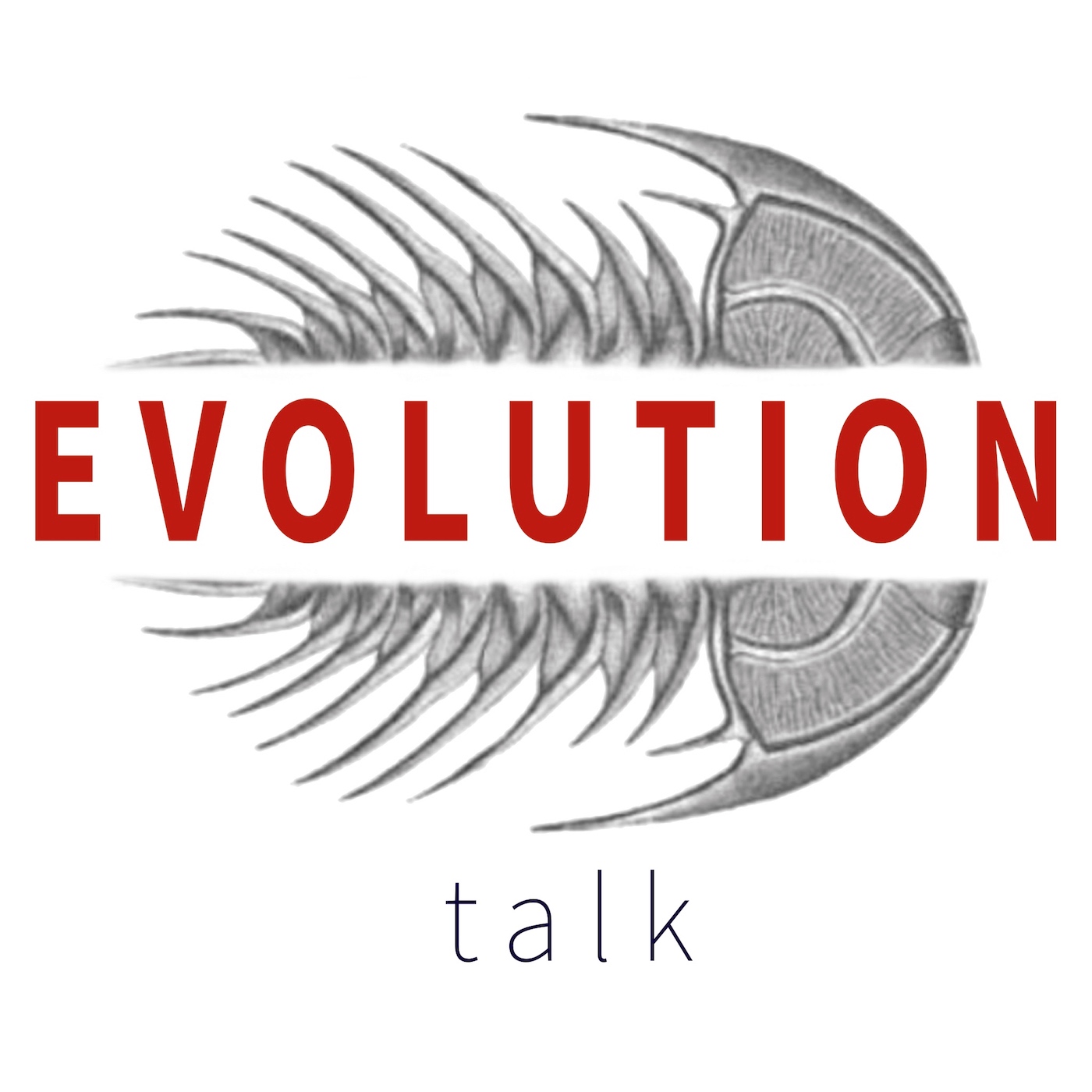 An Interview With Emma Darwin