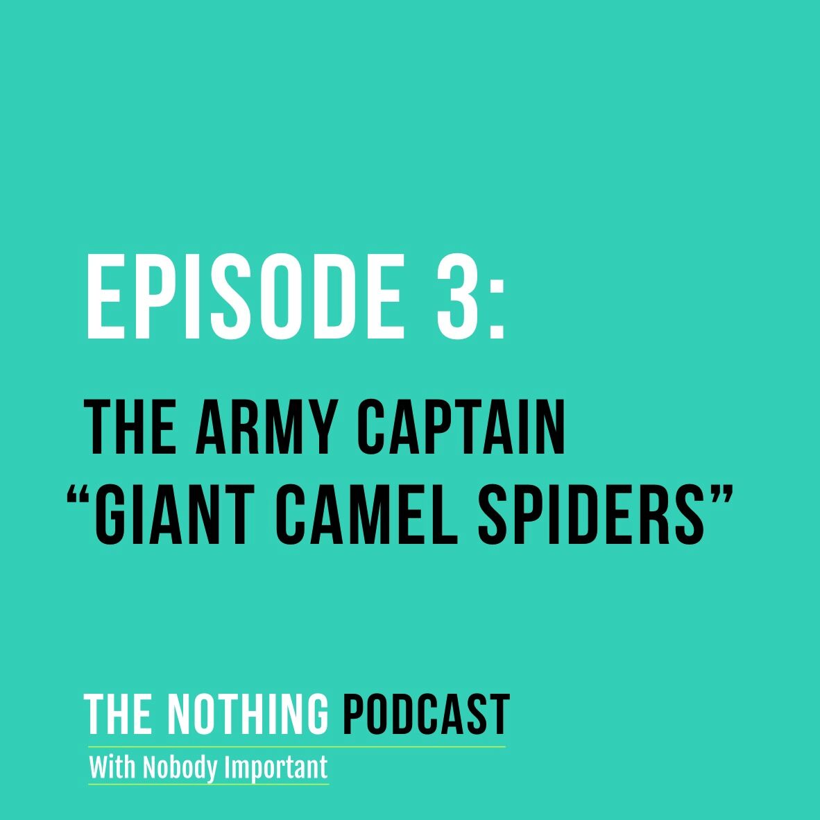The Nothing Podcast With Nobody Important
