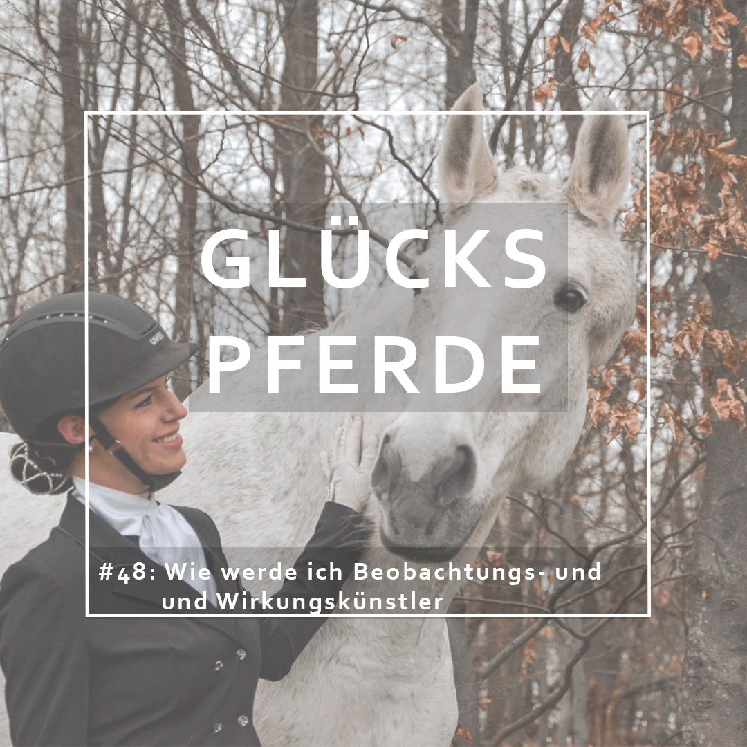 GlücksPferde - Erfüllt leben im Spiegel der Pferde