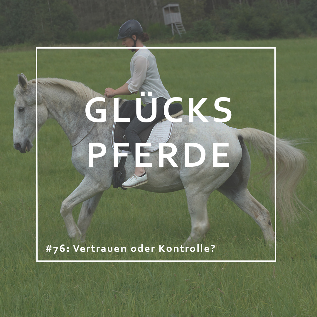 GlücksPferde - Erfüllt leben im Spiegel der Pferde