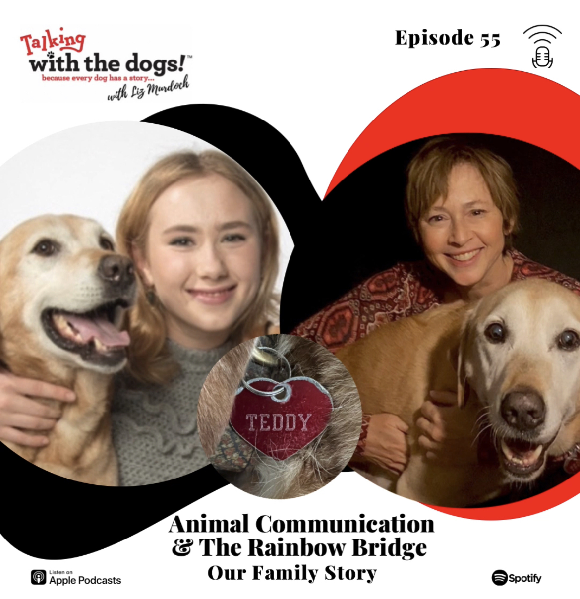 Talking with the dogs!
