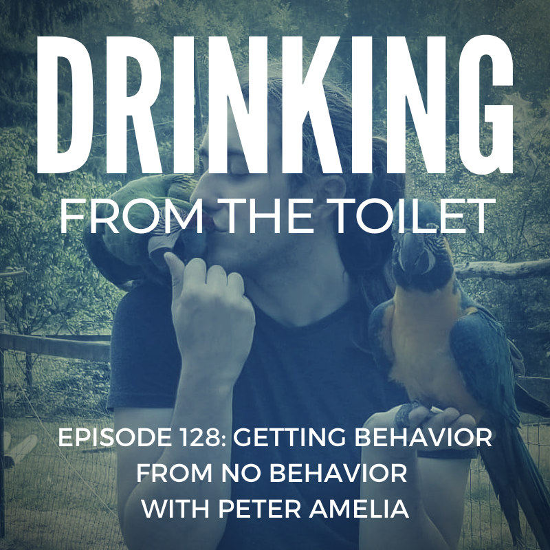#128: Getting Behavior From No Behavior with Peter Amelia