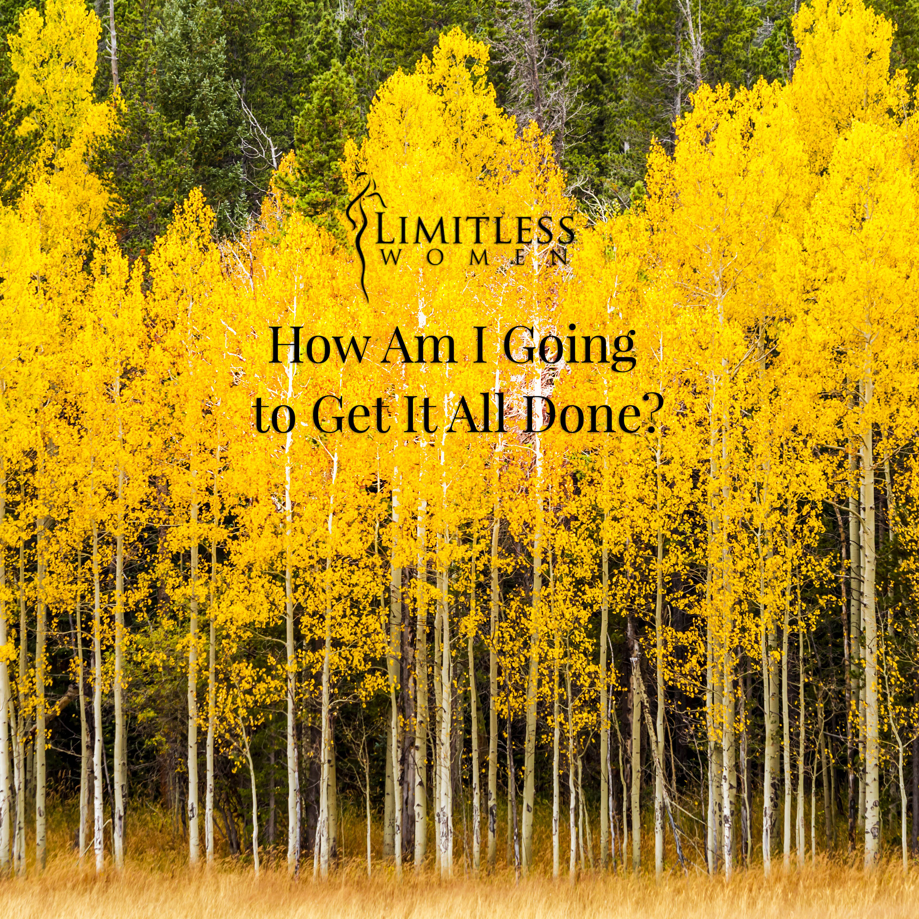 The Limitless Women Podcast