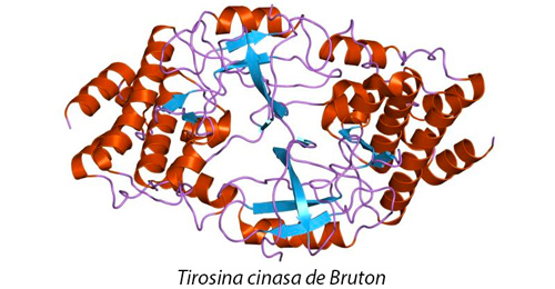 Cienciaes.com