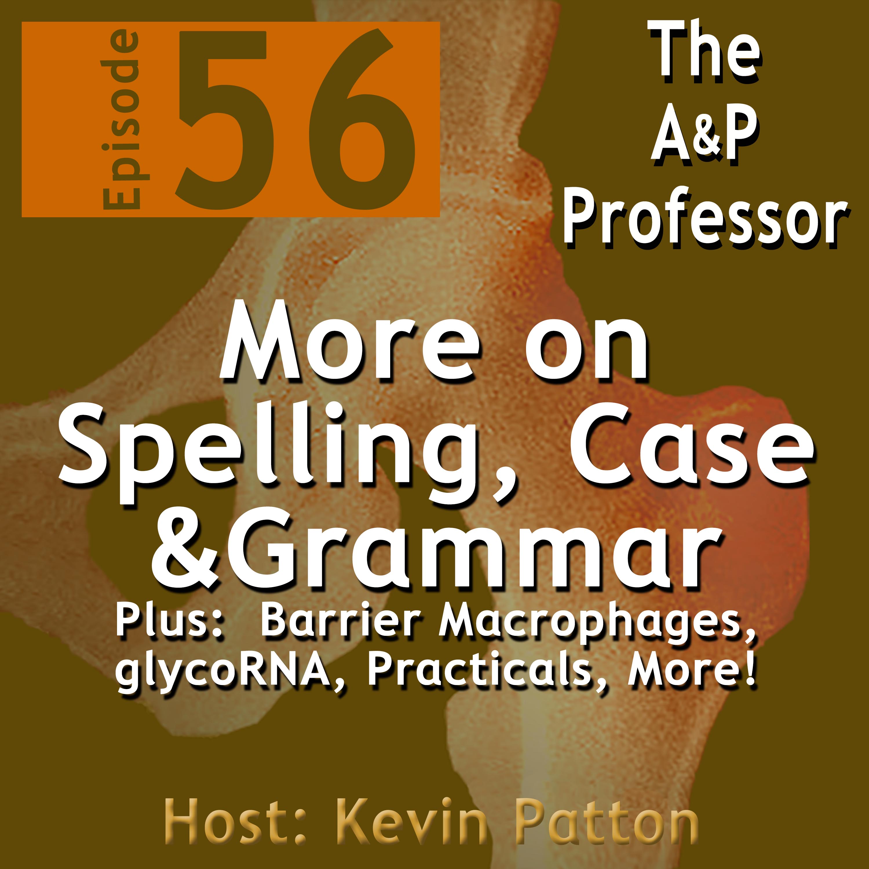 The A&P Professor