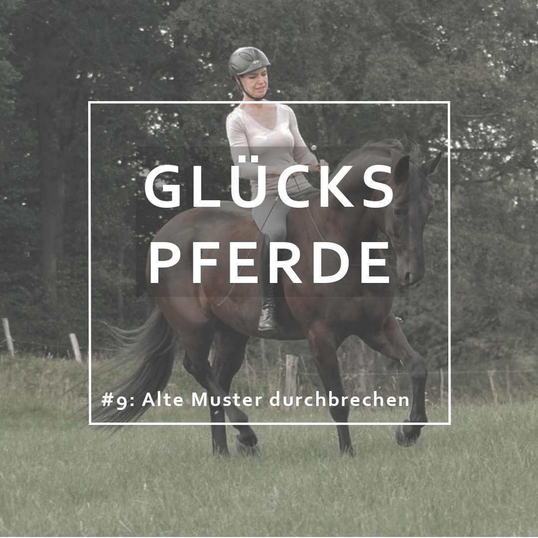 GlücksPferde - Erfüllt leben im Spiegel der Pferde