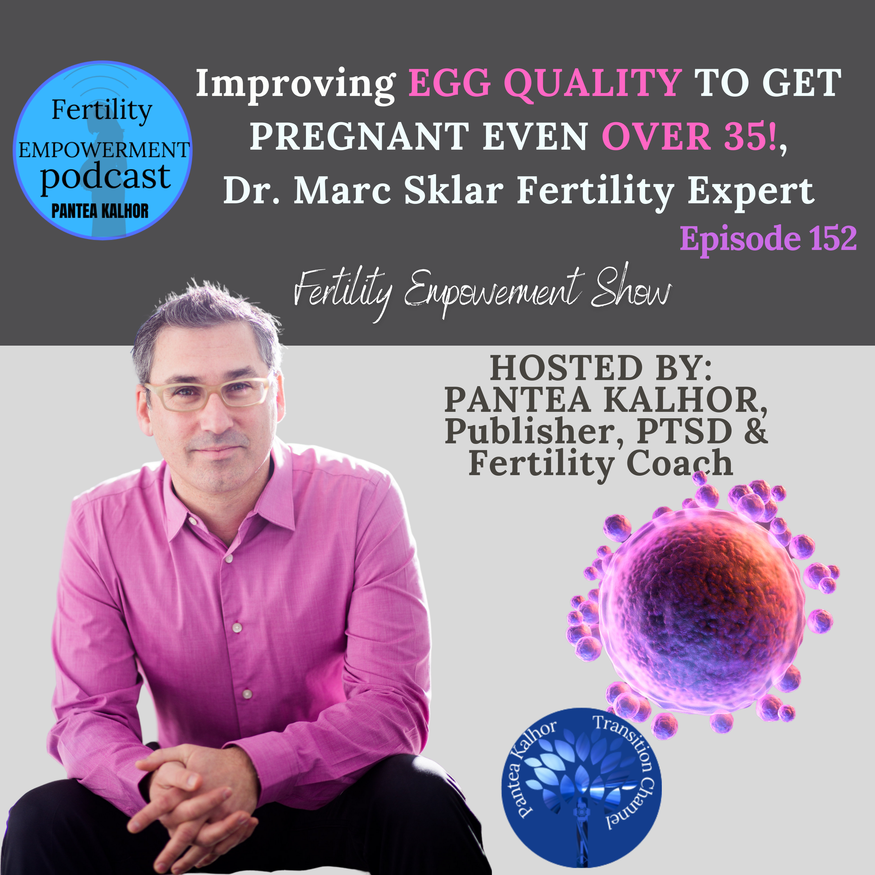 Transition by Pantea Kalhor