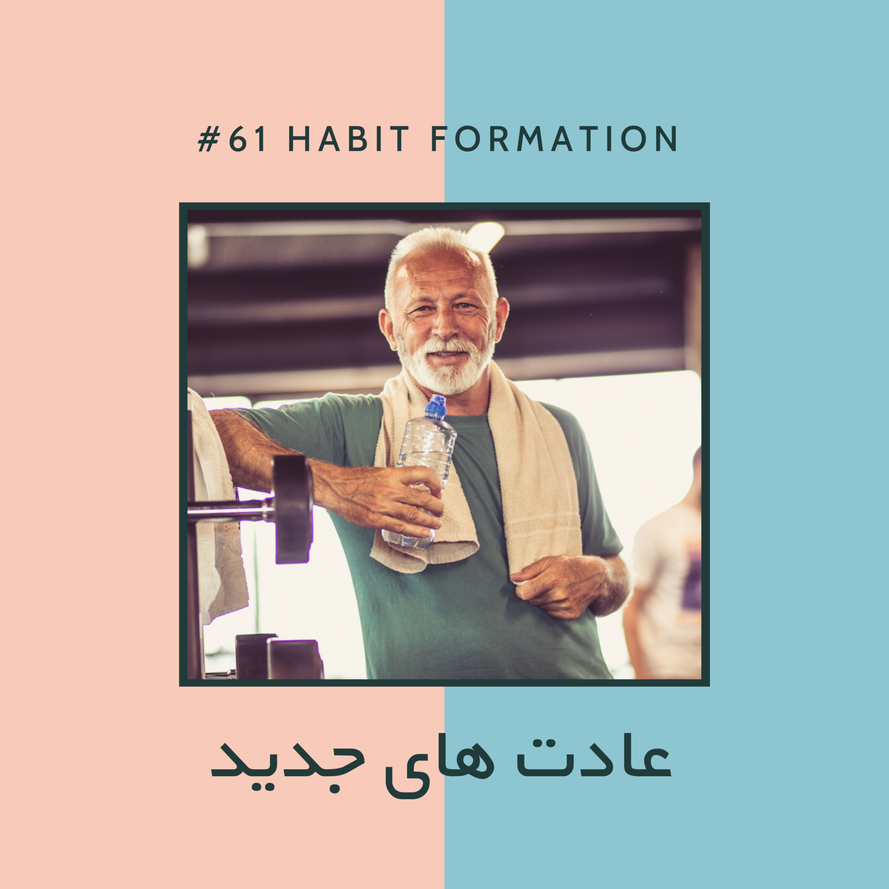 AJIL | آجیل