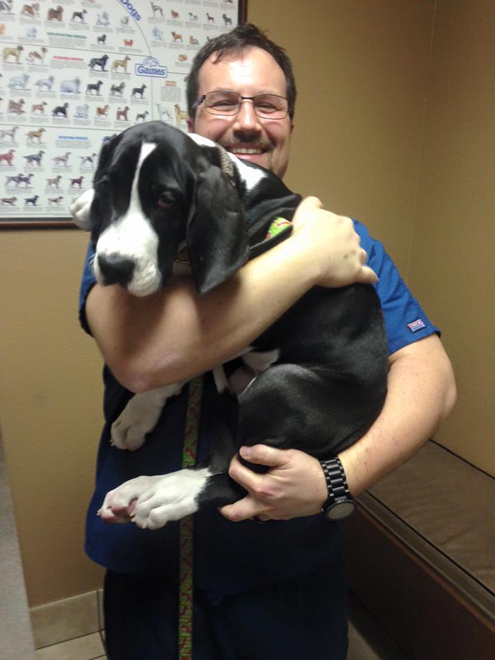 The Vet Reset