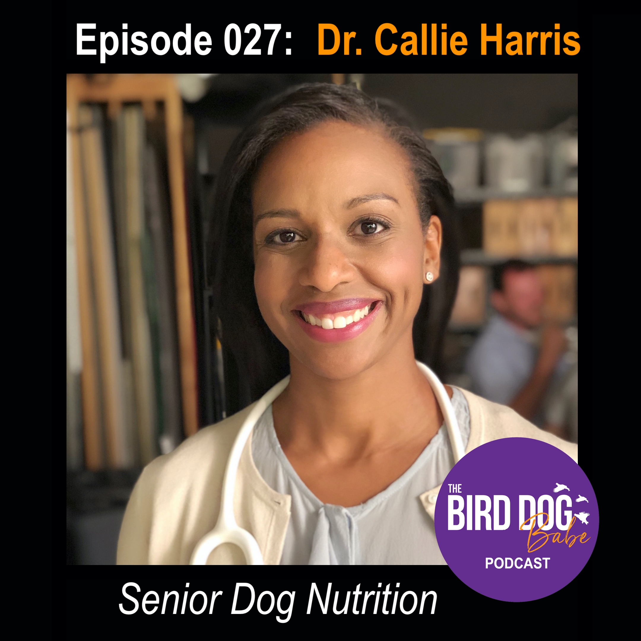 The Bird Dog Babe