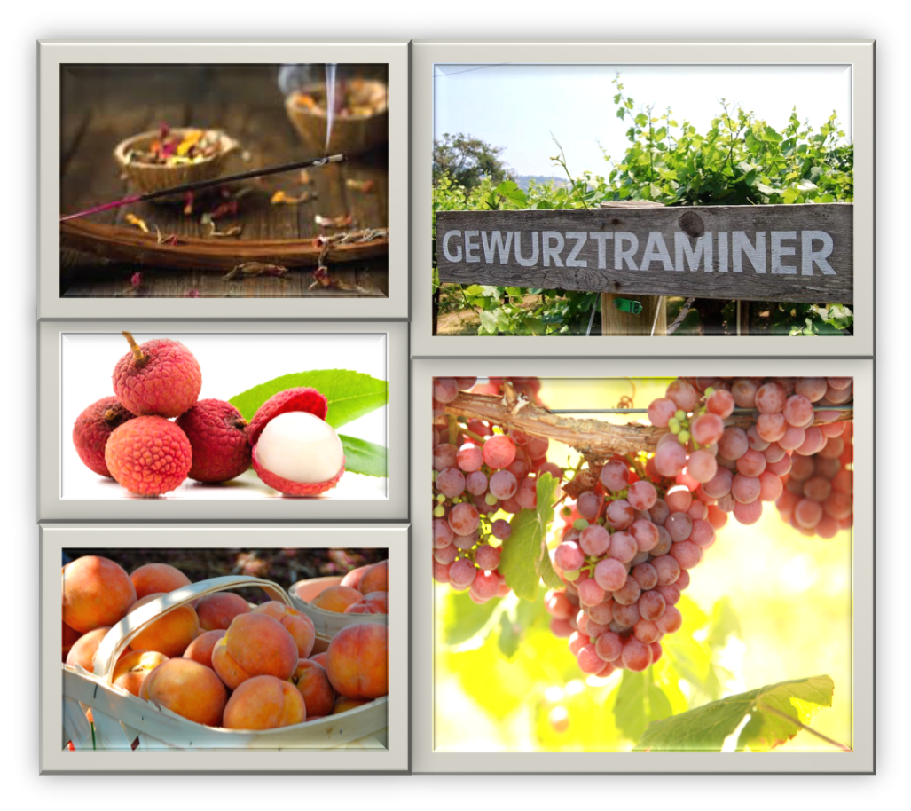 The Grape Miniseries-- Gewurztraminer