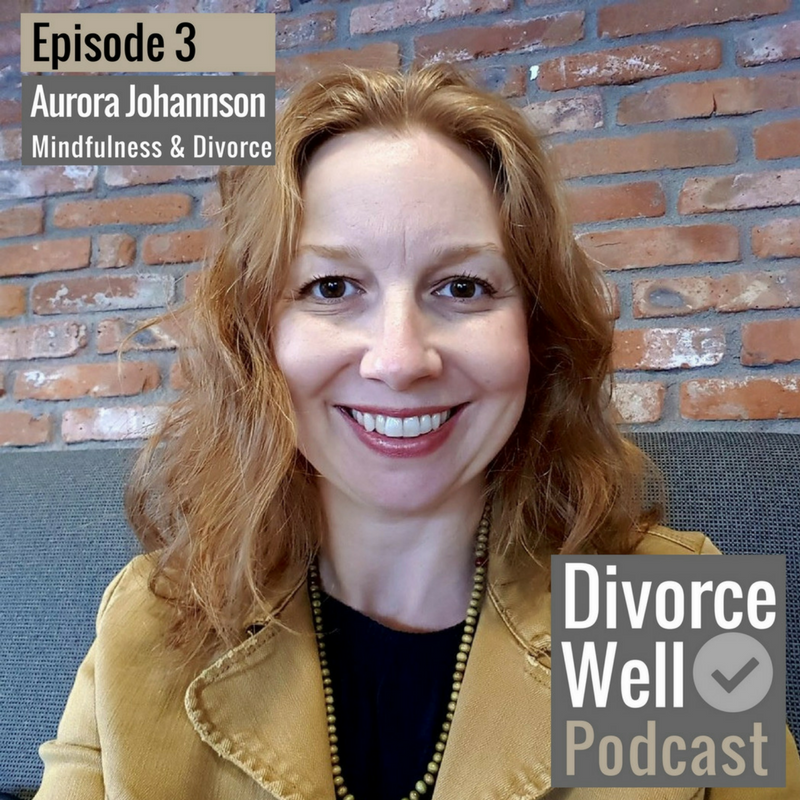 The Divorce Well Podcast