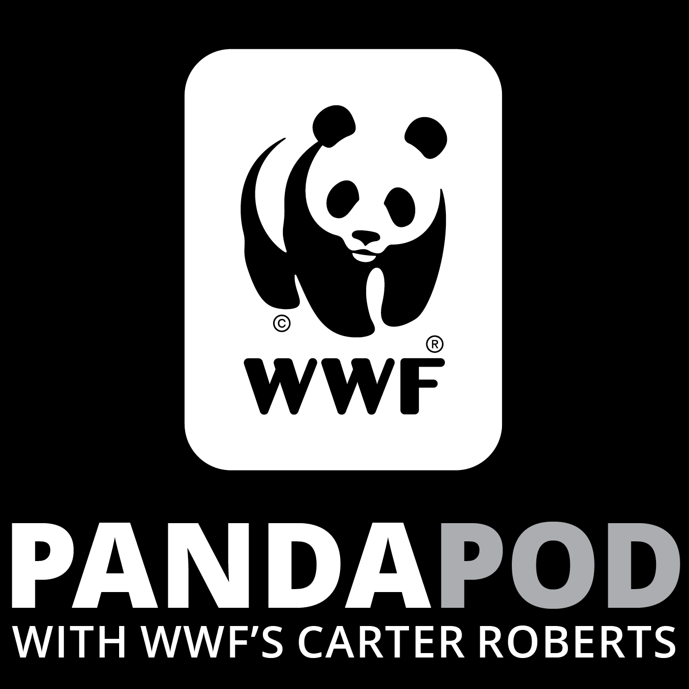 Introducing The Panda Pod!