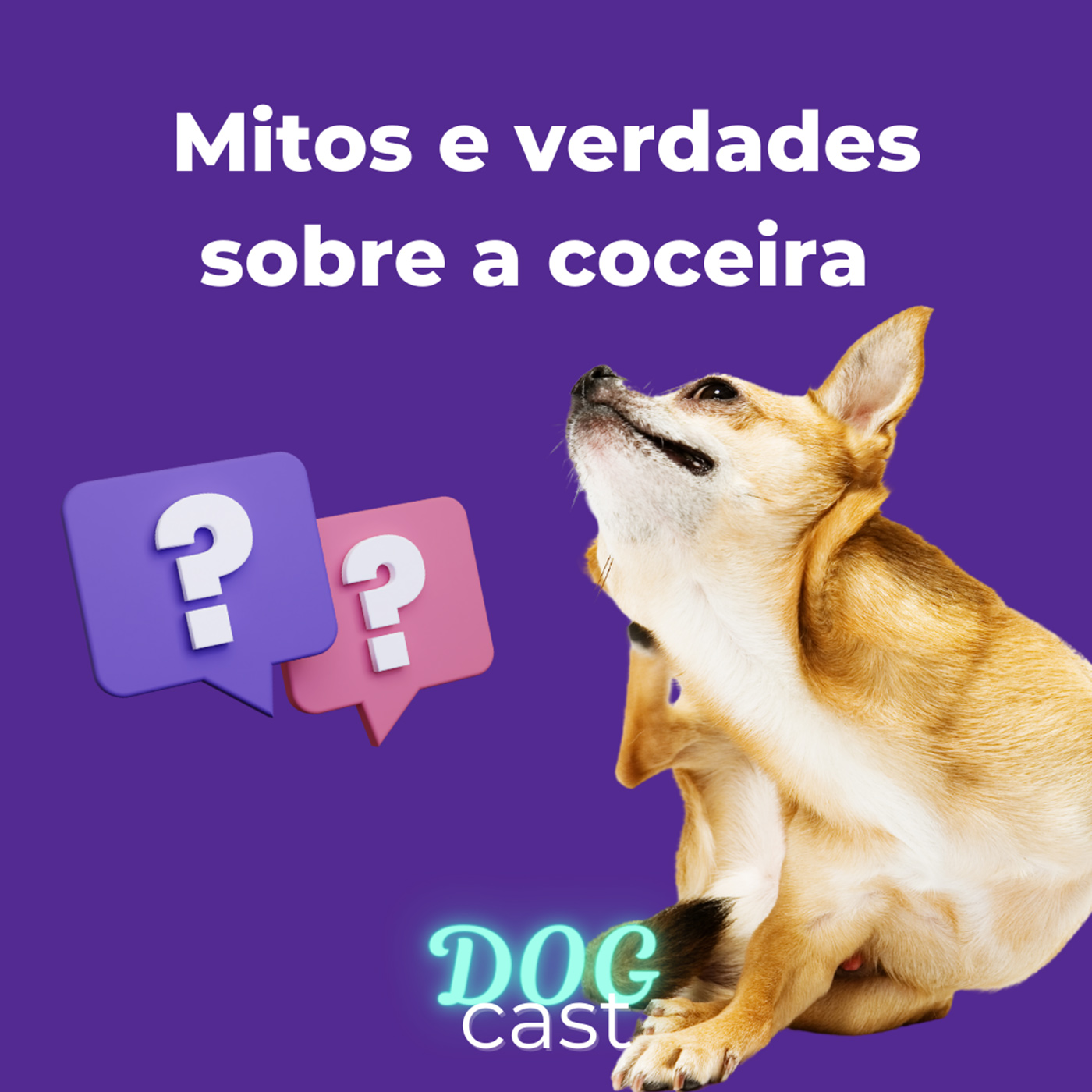 DogCast