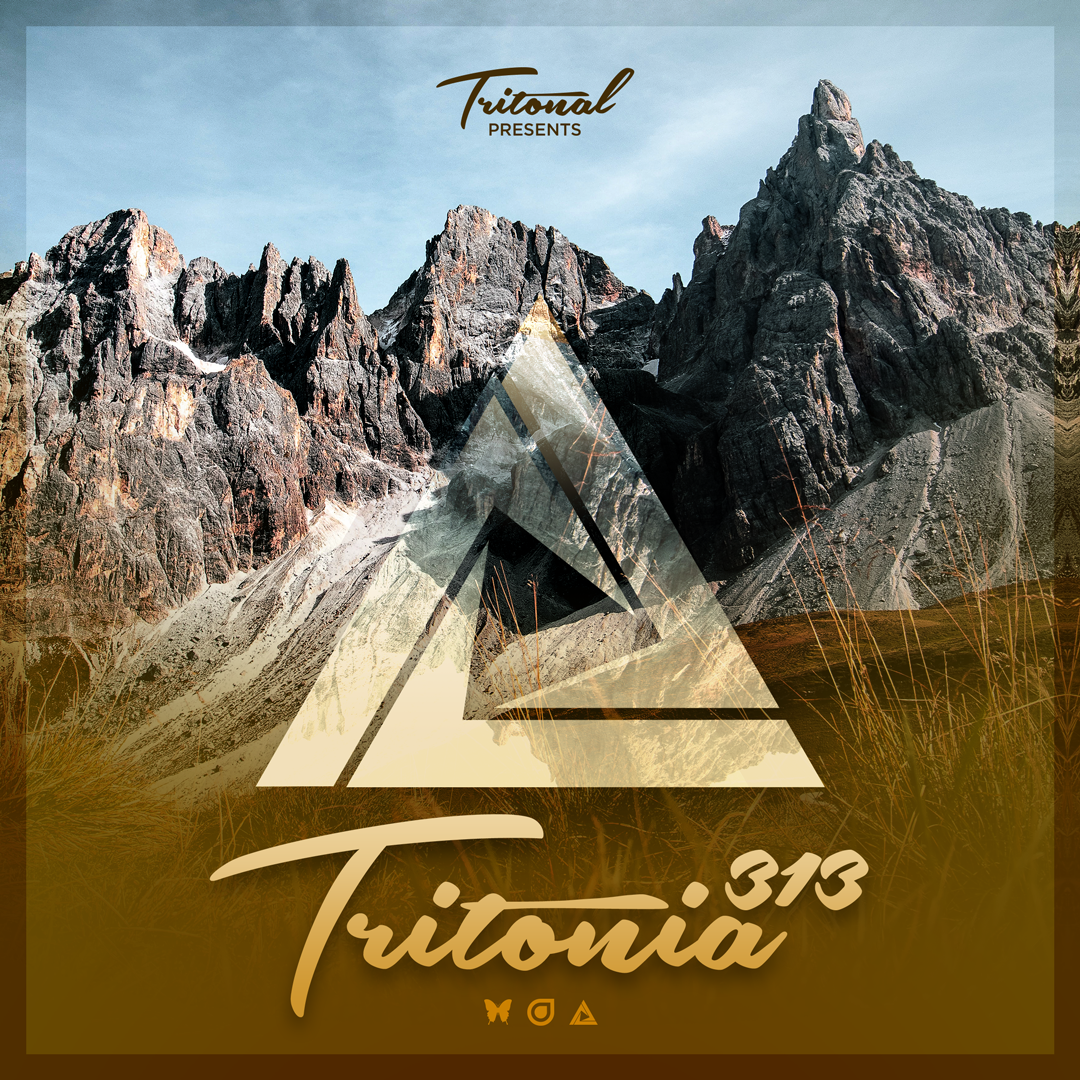 Tritonia 313
