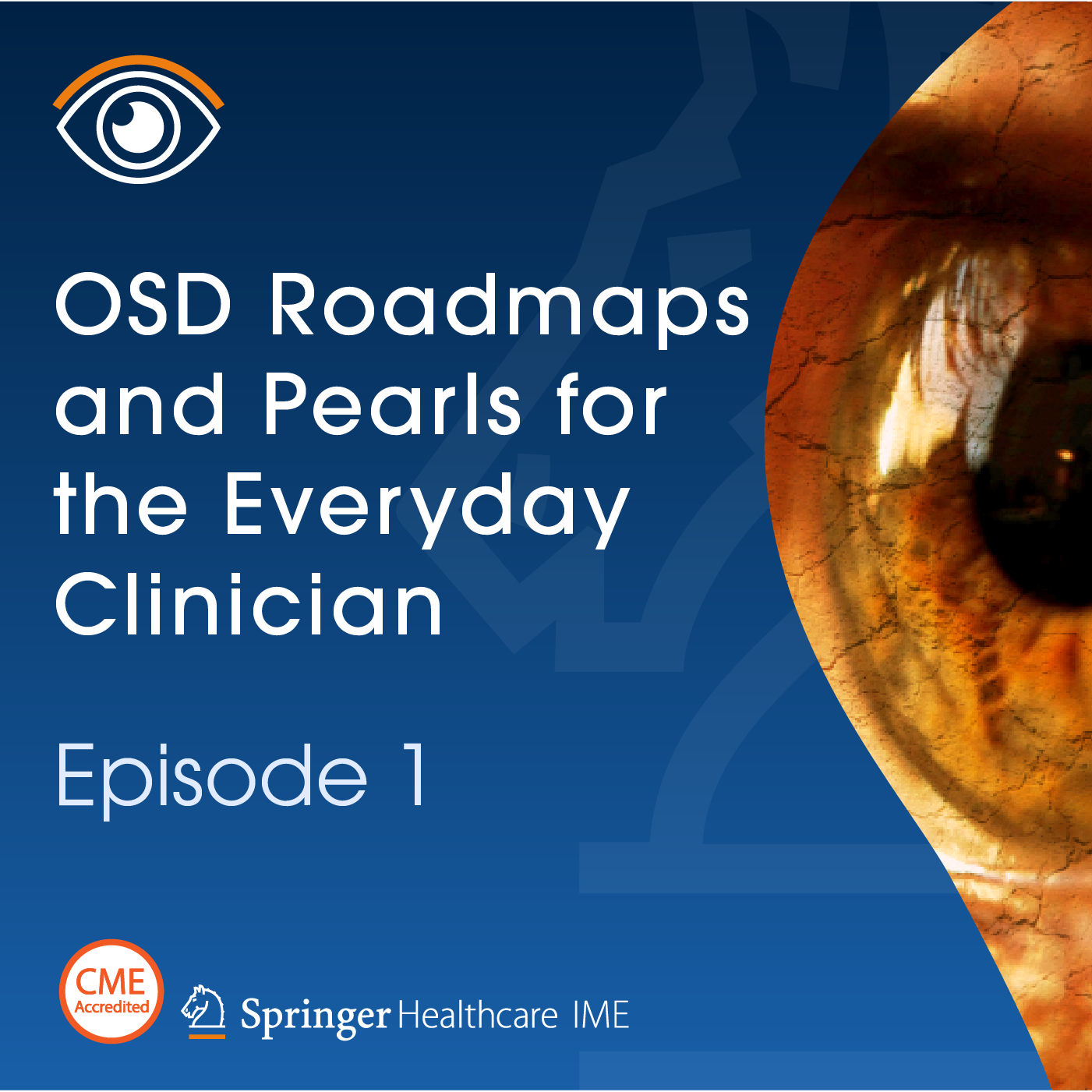 A look into Dry Eye Disease (DED) Management: Insights into Novel Treatments and Clinical Perspectives