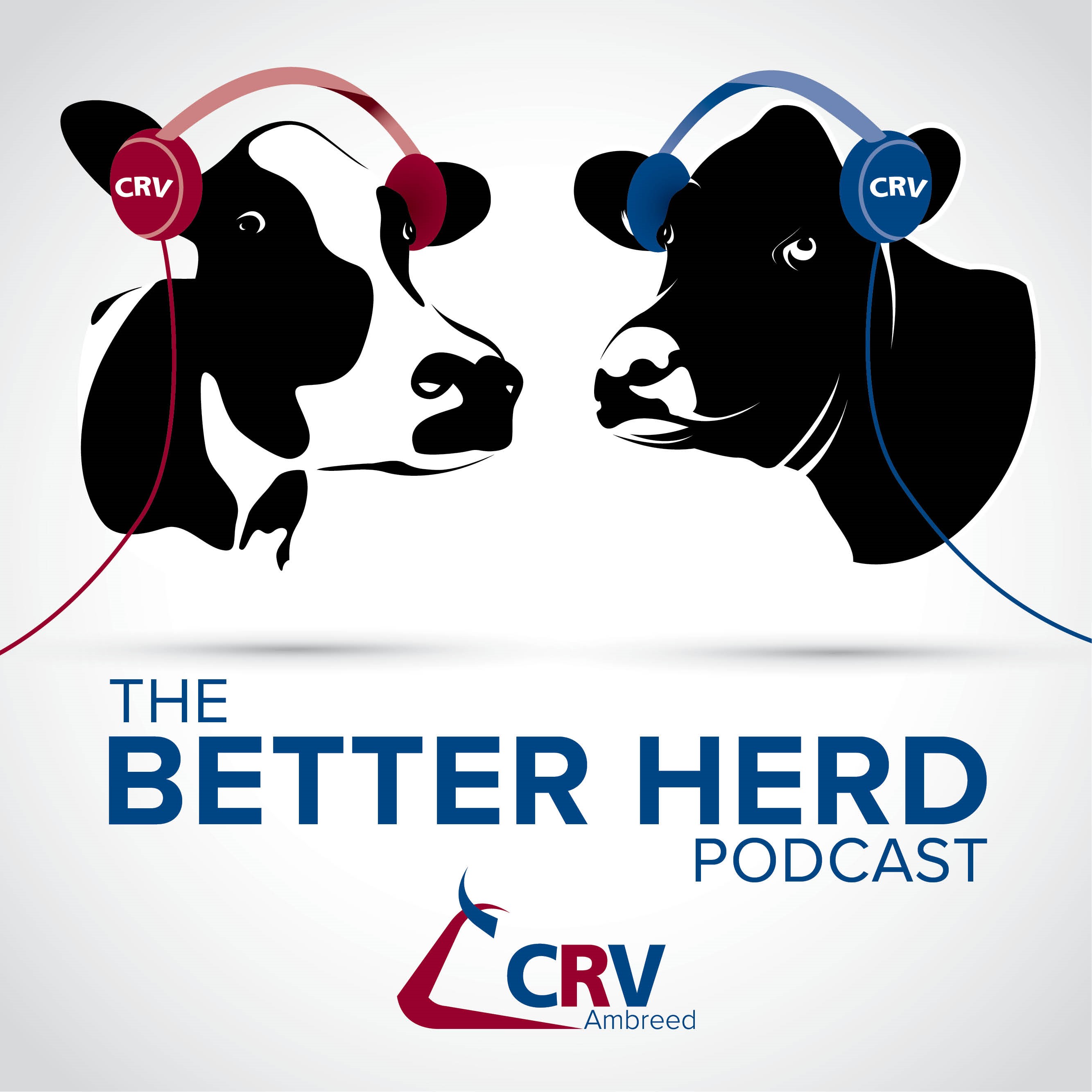 The Better Herd Podcast