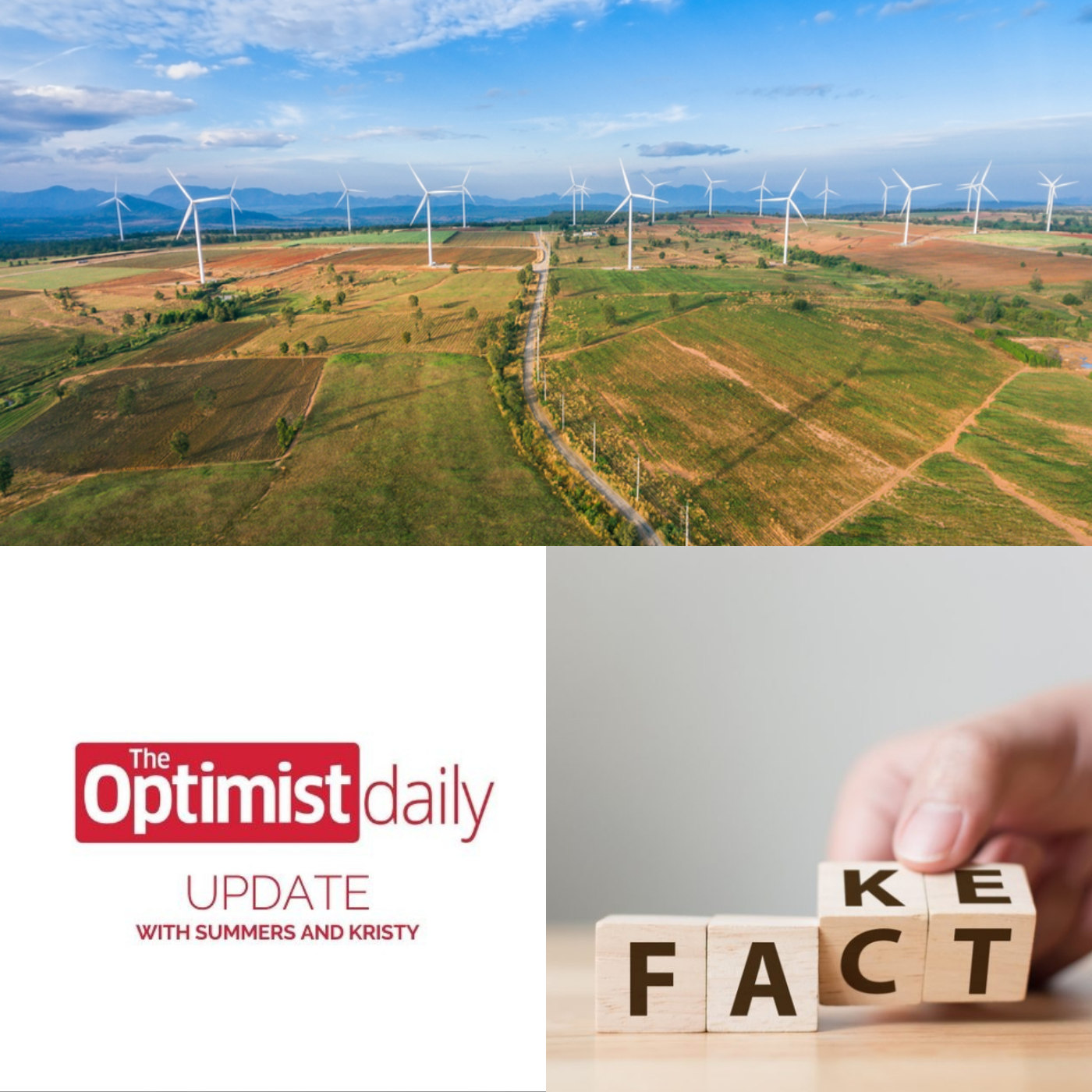 Italy Adds Wind Farms & Spot  Misinformation About Russia-Ukraine Conflict