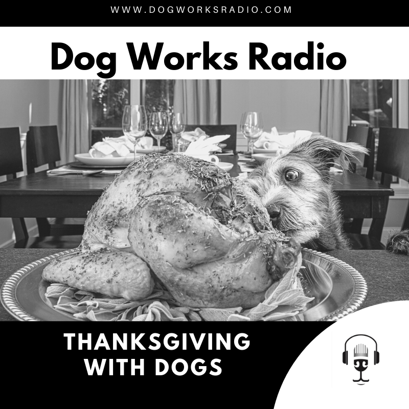 Thanksgiving with Dogs