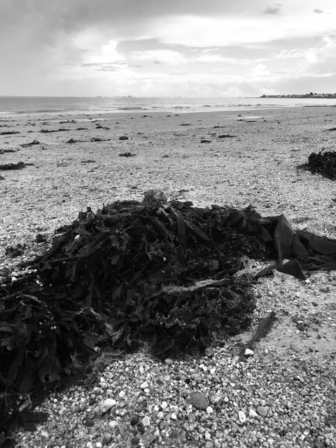 The History Islands