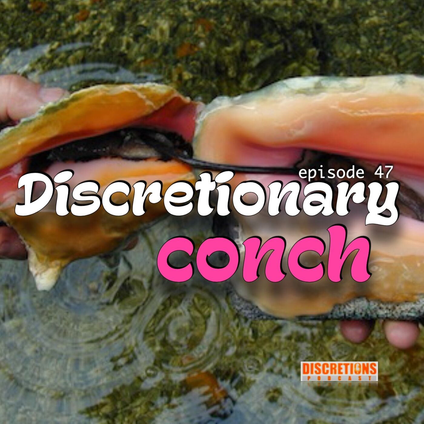 Discretions Podcast with Eric & Nick