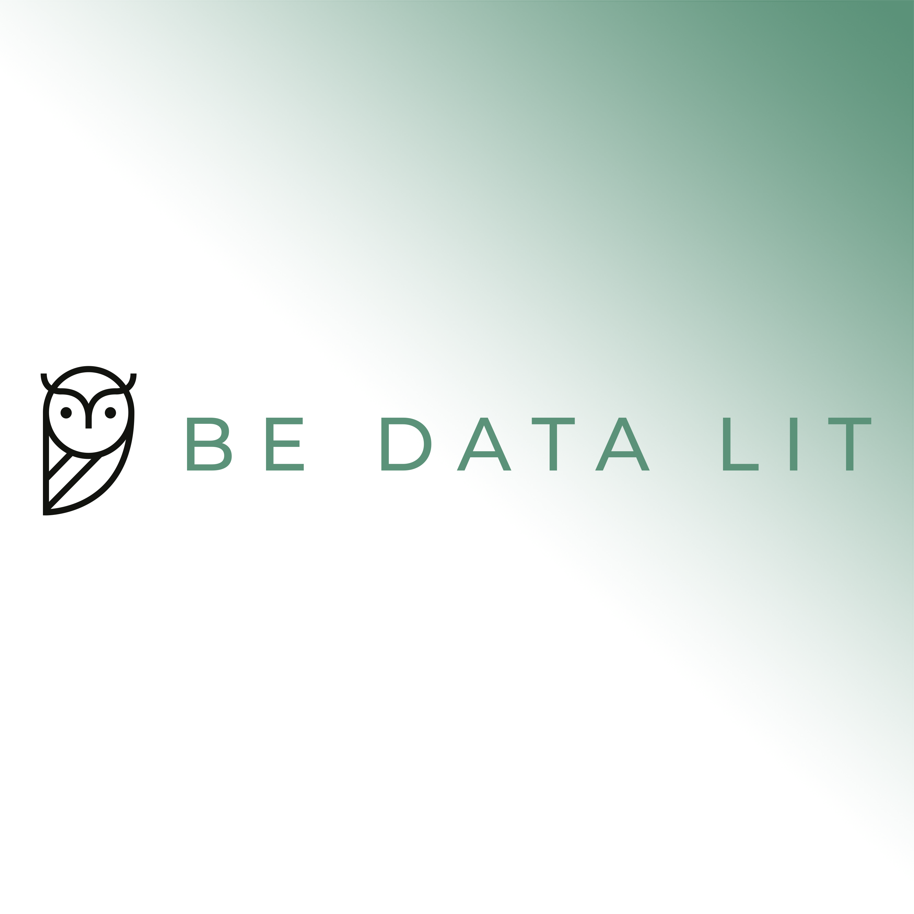 Be Data Lit: The Podcast
