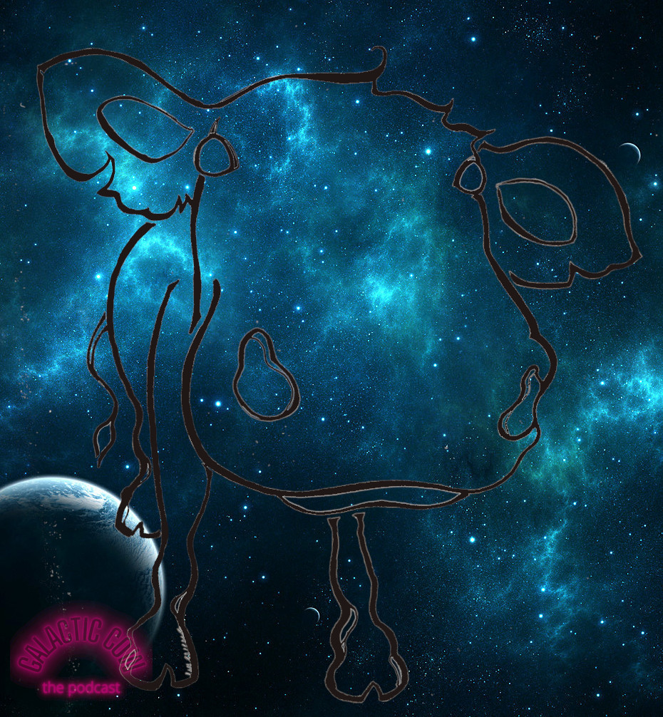 The Galactic Cow: Conversations about teaching, the Universe, and everything
