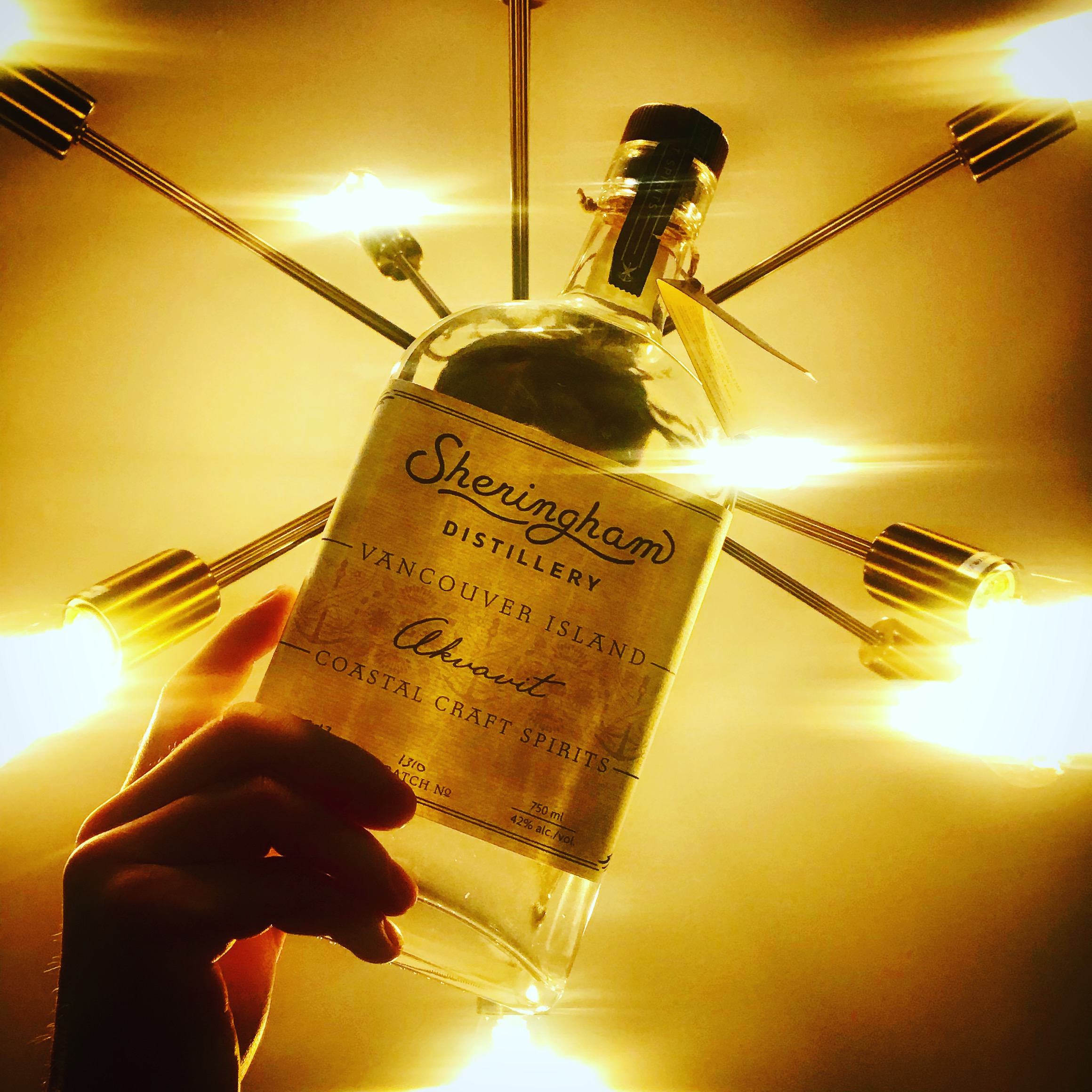 ACP 071: Drinking Aquavit in Norway