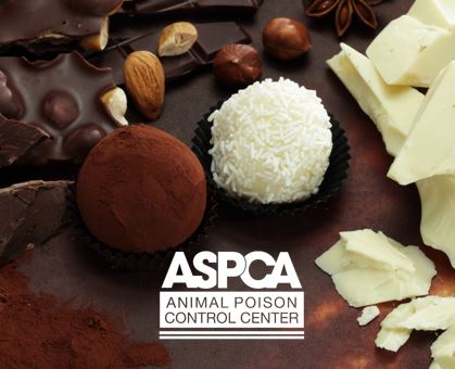 ASPCA Animal Poison Control Center for Owners