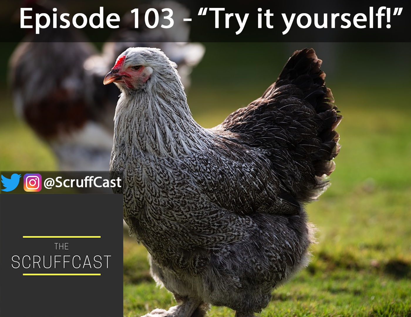 The ScruffCast
