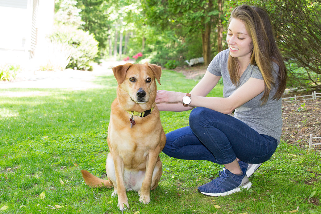 ASPCA Animal Poison Control Center for Owners