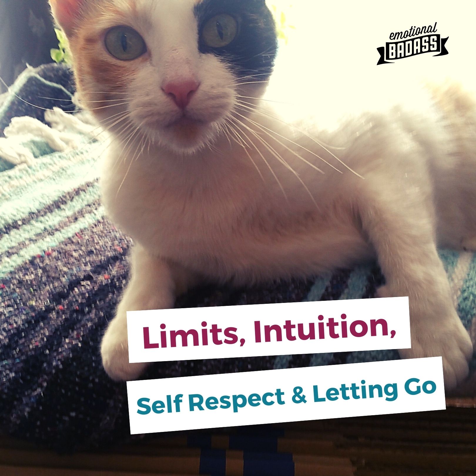 Limits, Intuition, Self Respect and Letting Go
