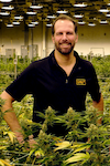 Legal Marijuana Sales Are Booming and Unity Rd. is at the Forefront