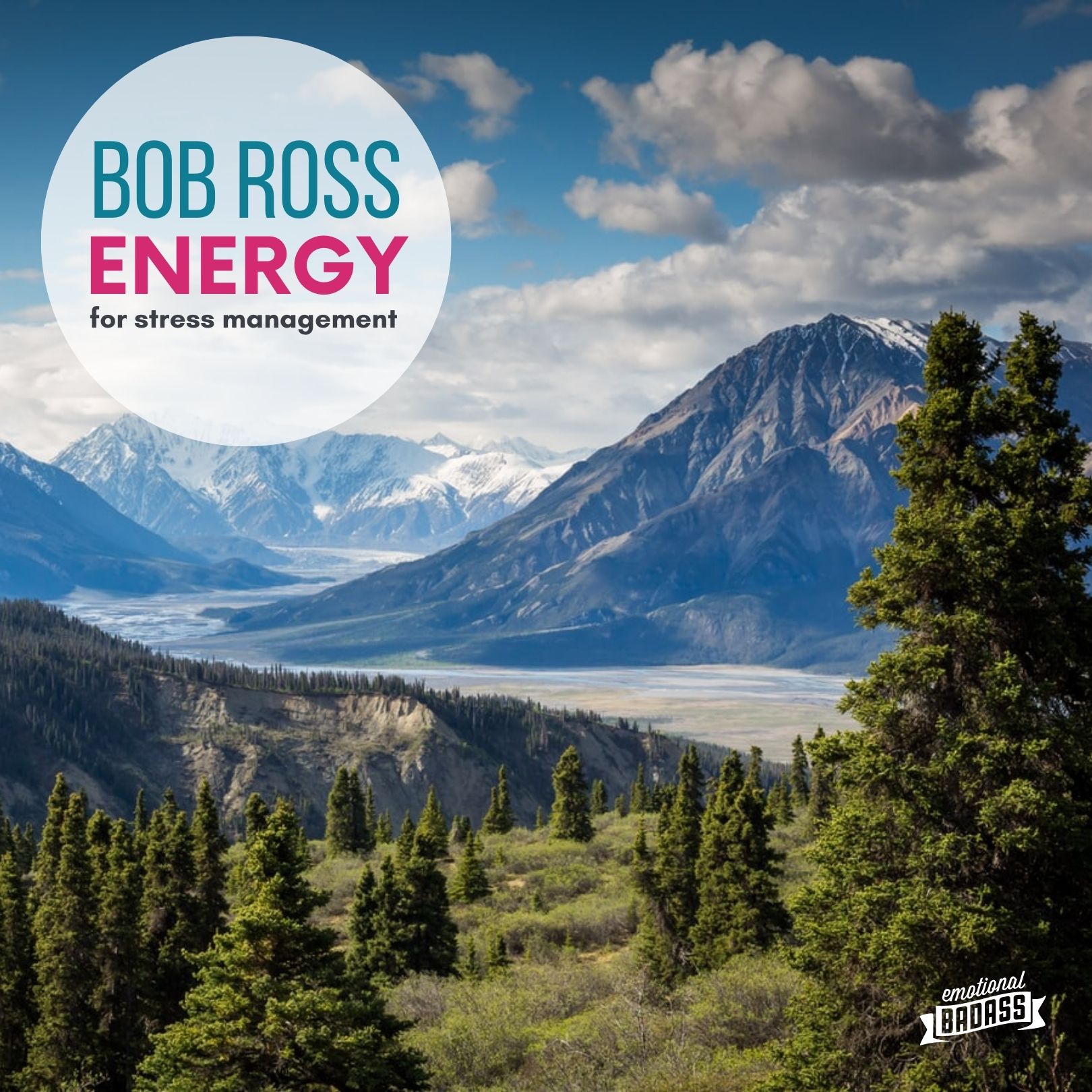 Bob Ross Energy for Fatigue & Stress Management