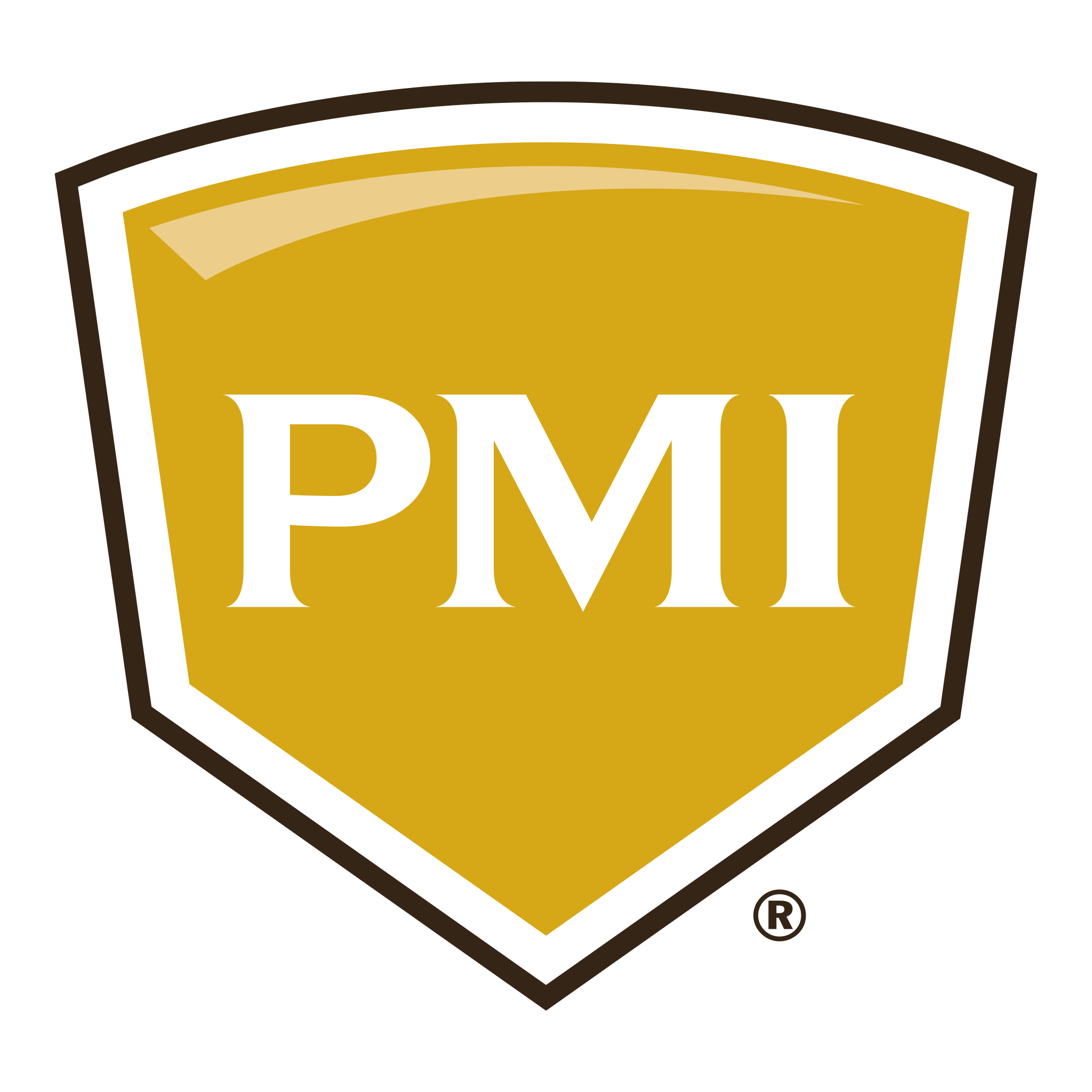 PMI Success Profiles Podcast