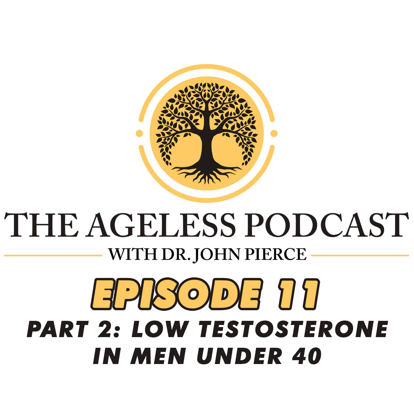 The Ageless Podcast