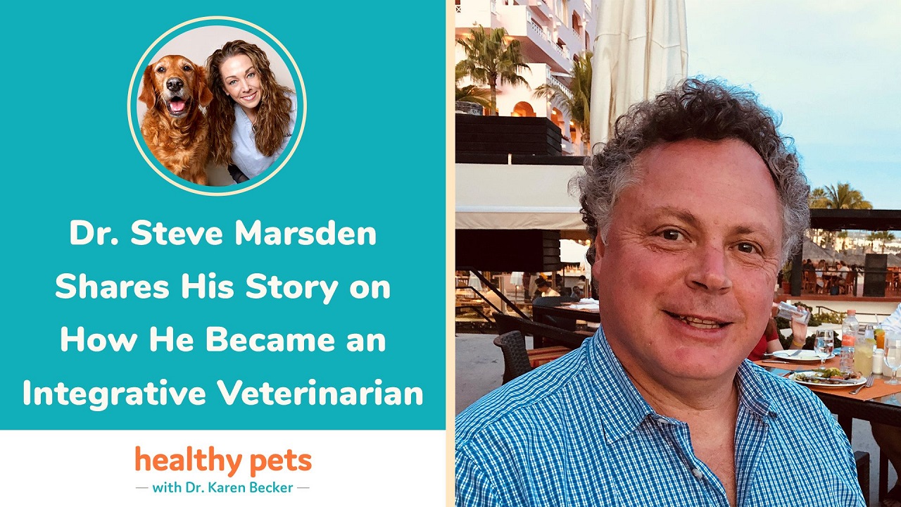 Dr. Steve Marsden Shares His Story on How He Became a Integrative Veterinarian