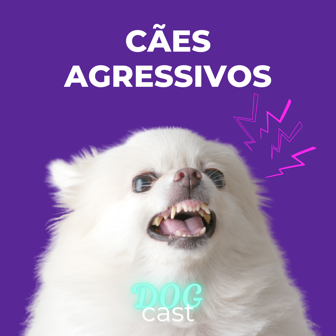 DogCast