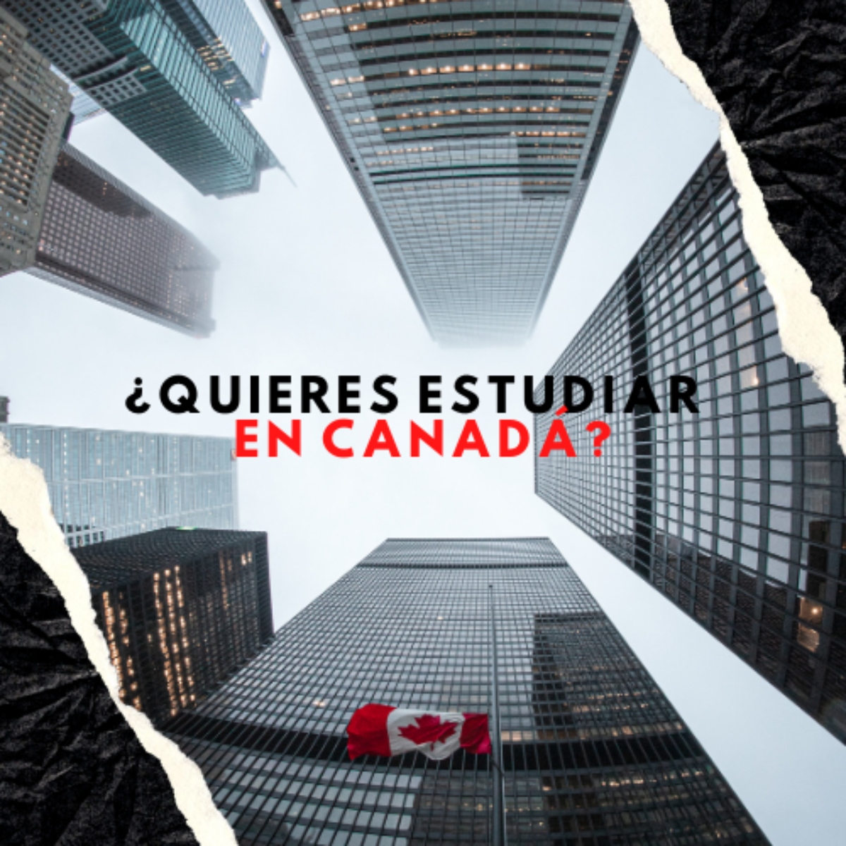 Rompiéndola en Canadá