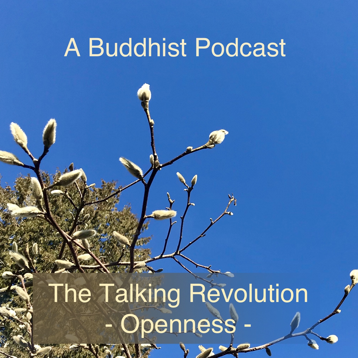 Openness