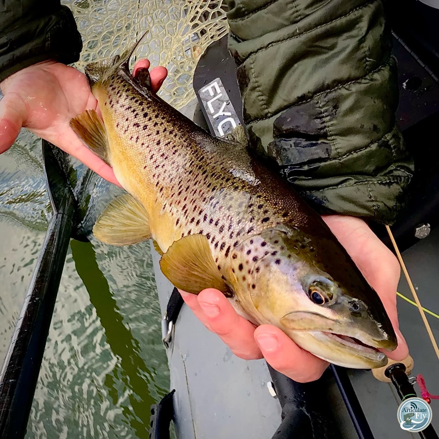 S5, Ep 21 Central PA Fishing Report with TCO Fly Shop The Articulate