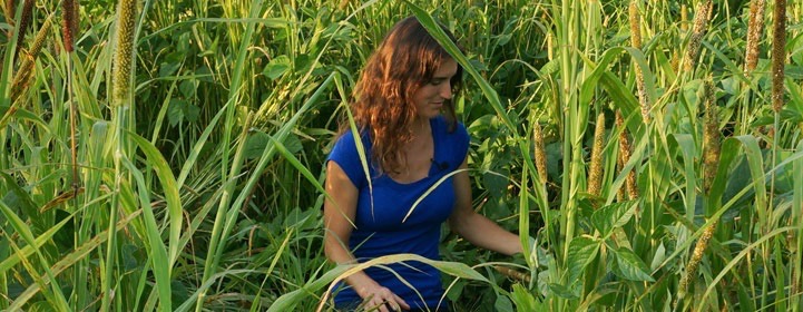 019, Vail Dixon: The Soil Healer, Part 2