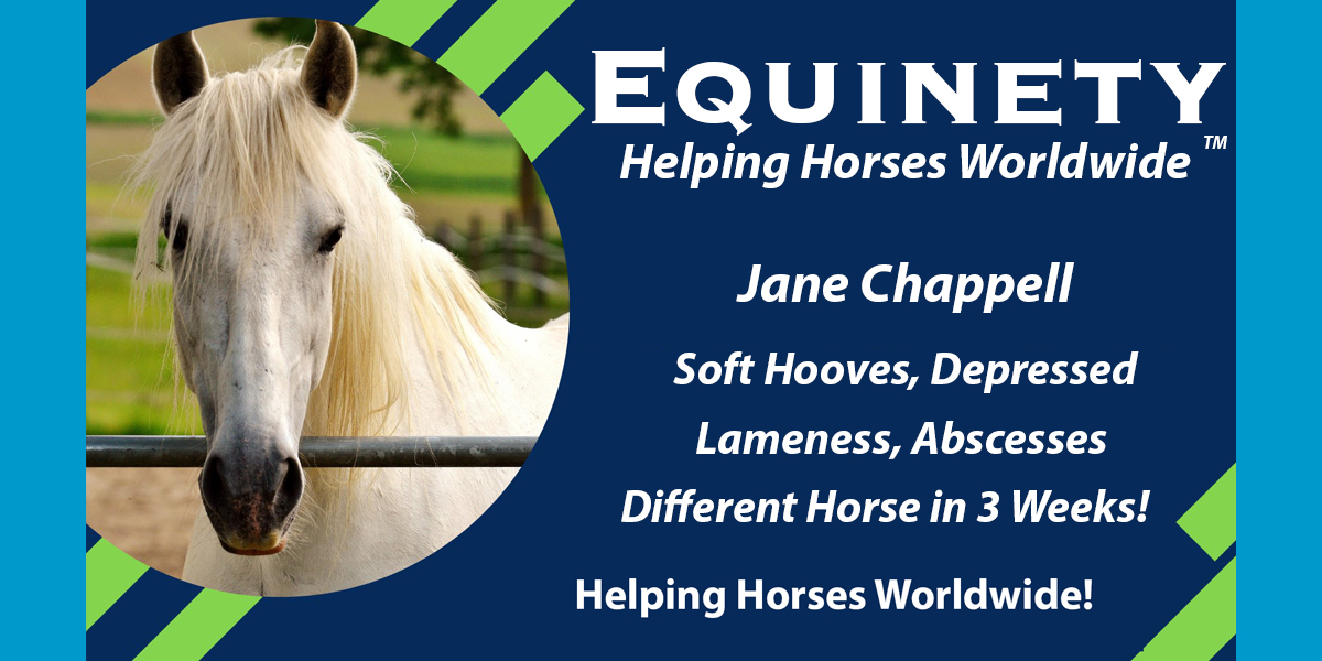 Jane Ann Chappell – depressed – no personality - lameness – soft hooves – abscesses – 3 weeks change in mare