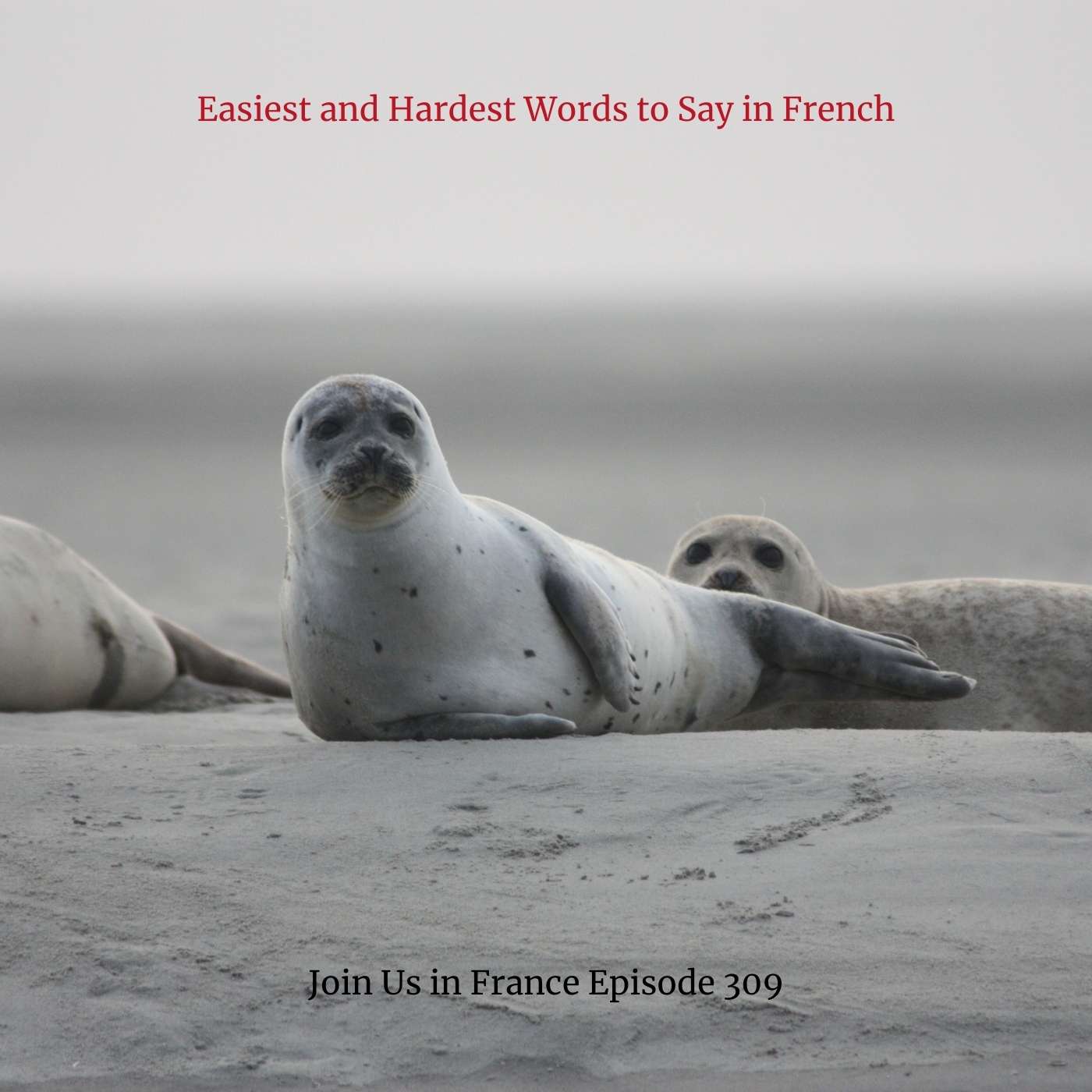 Easiest and Hardest Words to Say in French
