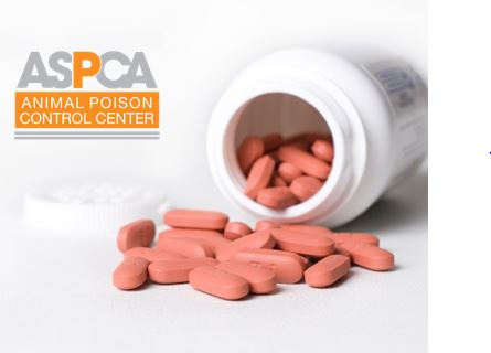 ASPCA Animal Poison Control Center for Vets