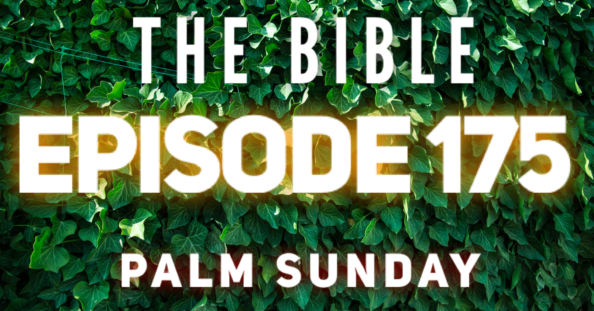 How To Read Through The Bible